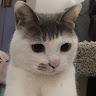 박*혁