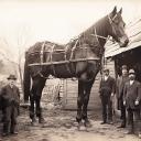 be****************on