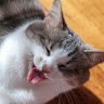 Po***********im