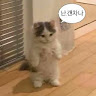 최*건