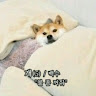 김*규