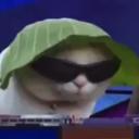 𝒞******𝓈
