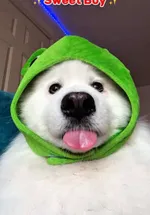 Ti**lu