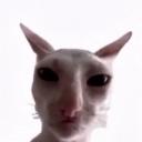 mj**73