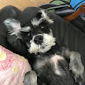 머리***풍성