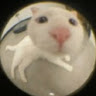Je**********do