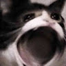 ᄋᄋ******O)