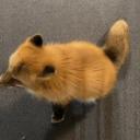 th********************ox