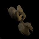 m1****************7o