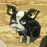 Ad******im