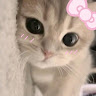 Ta***********on
