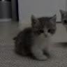 a**b