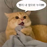 강*구