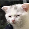 이*민