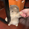 김*현