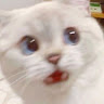 푸프
