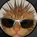 hi****ge