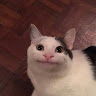 Su*ly