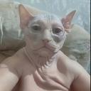 qu****************************nn