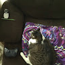 o**o
