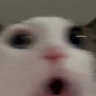 원*재