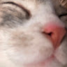 Ju**********ms