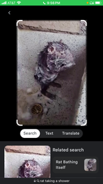 Ca****************18