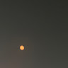 정*섭