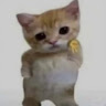 ca******le