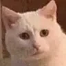 D**k