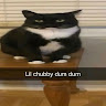 St*****ly