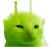 Ch*********cc