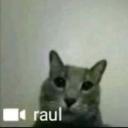 77*_u