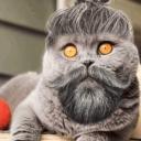 di********************09