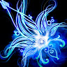 xx****************37