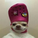 yo*****o.