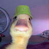 Cr*am