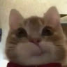 왜현*이지