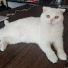 김*성