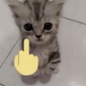De********uh