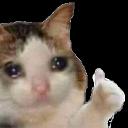 sa*******oy