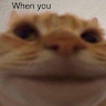 ZA*AT