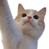 00