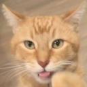 ha******pi
