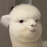 Mi*****en