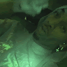 JJ