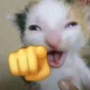 sa********an