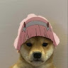 St******rt