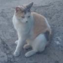 in********************94