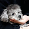 김*영